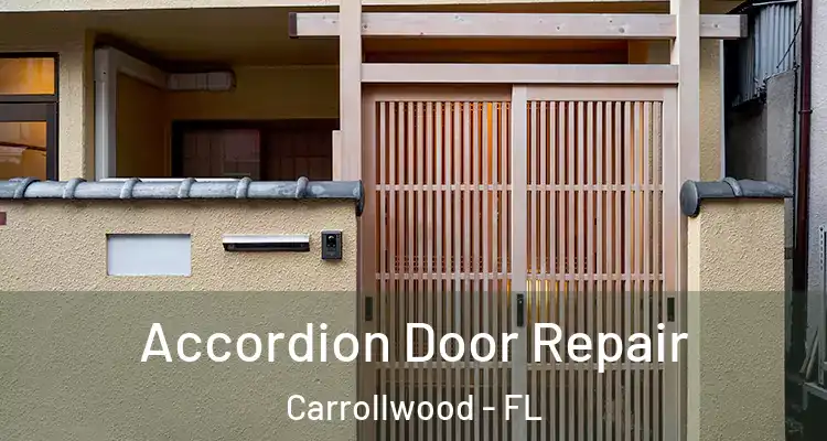  Accordion Door Repair Carrollwood - FL