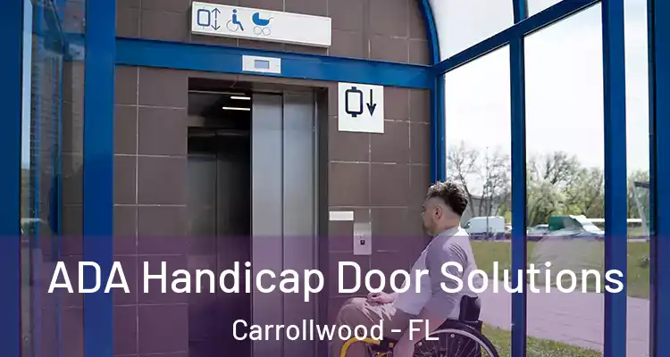  ADA Handicap Door Solutions Carrollwood - FL