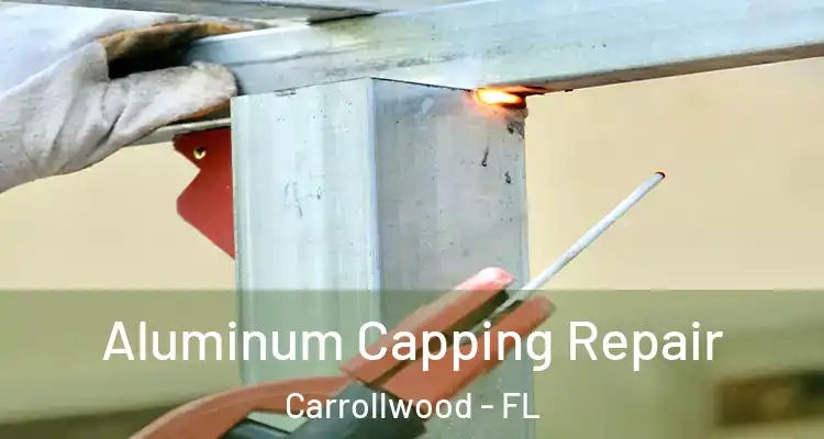  Aluminum Capping Repair Carrollwood - FL
