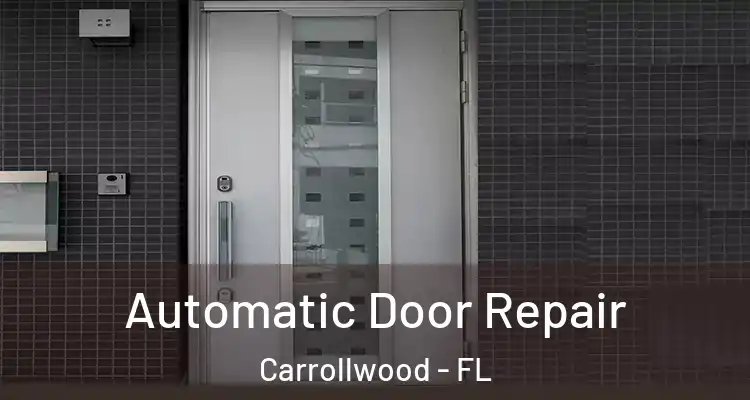  Automatic Door Repair Carrollwood - FL