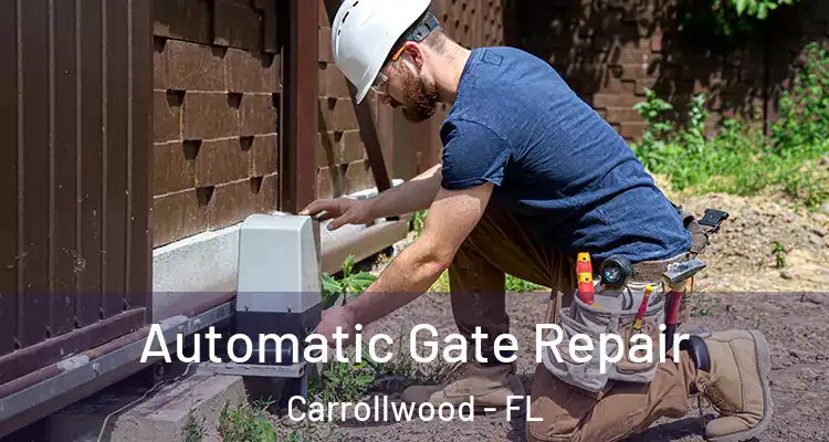  Automatic Gate Repair Carrollwood - FL