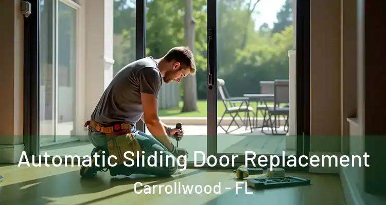  Automatic Sliding Door Replacement Carrollwood - FL