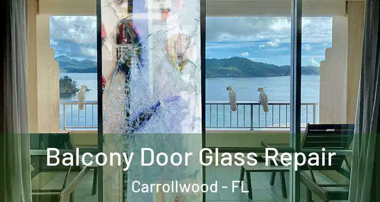  Balcony Door Glass Repair Carrollwood - FL