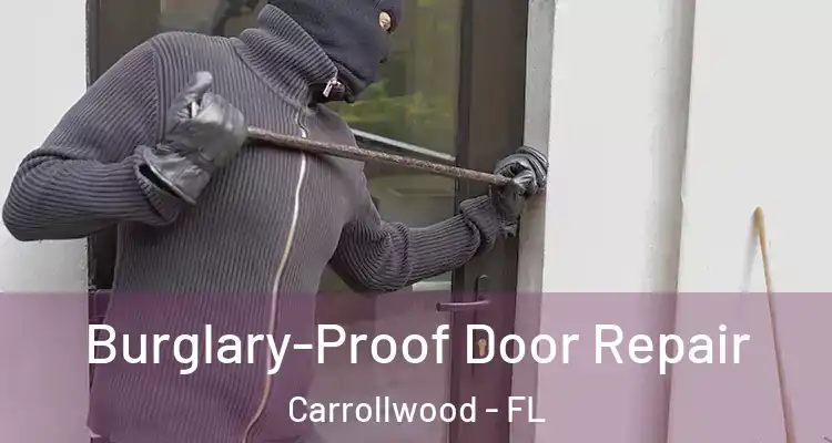  Burglary-Proof Door Repair Carrollwood - FL