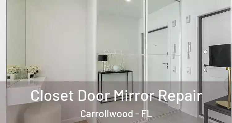  Closet Door Mirror Repair Carrollwood - FL