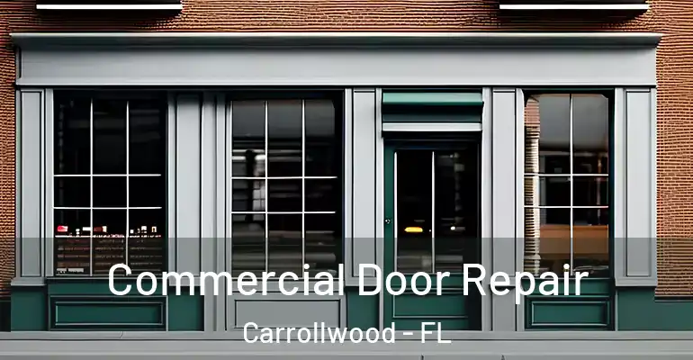  Commercial Door Repair Carrollwood - FL