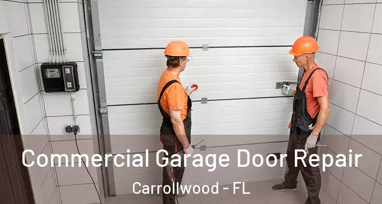  Commercial Garage Door Repair Carrollwood - FL