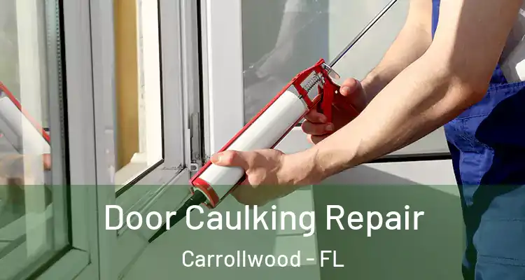  Door Caulking Repair Carrollwood - FL