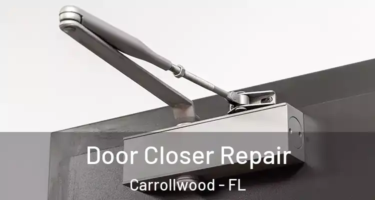  Door Closer Repair Carrollwood - FL