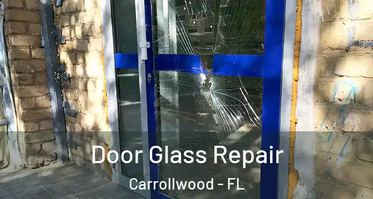  Door Glass Repair Carrollwood - FL