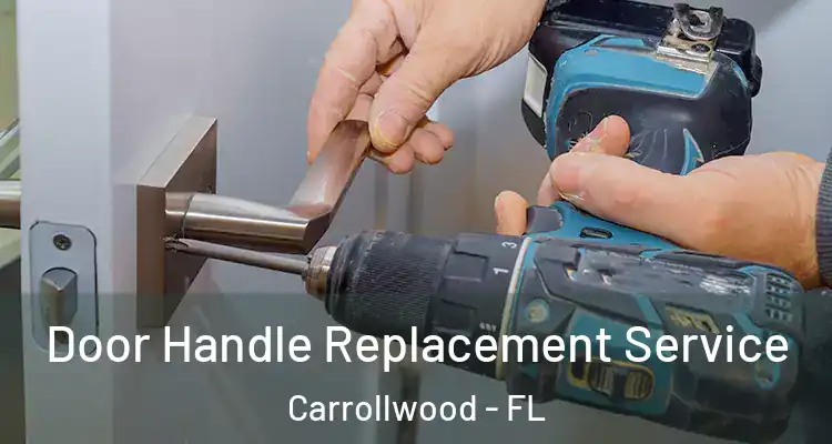  Door Handle Replacement Service Carrollwood - FL