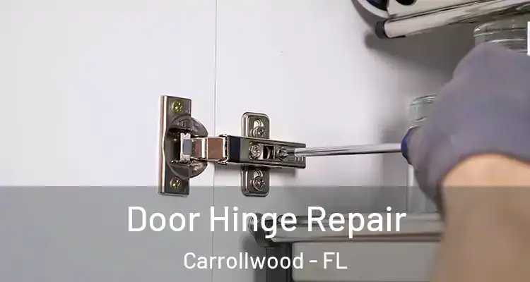  Door Hinge Repair Carrollwood - FL