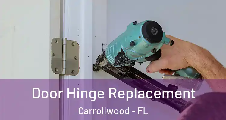  Door Hinge Replacement Carrollwood - FL