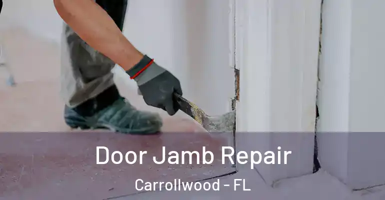  Door Jamb Repair Carrollwood - FL