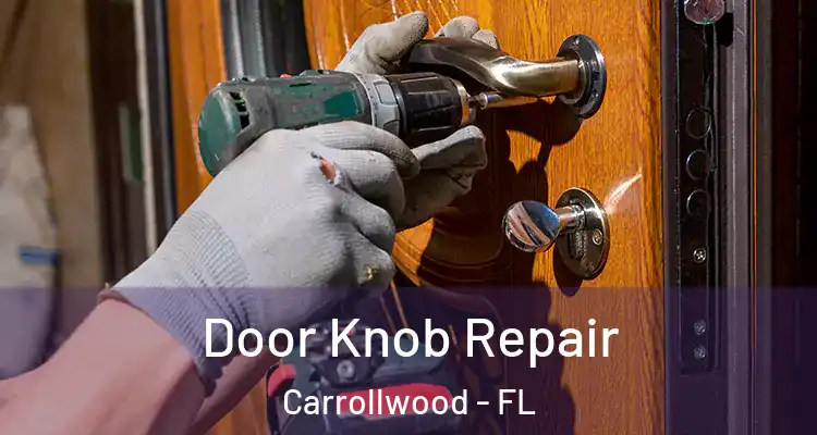  Door Knob Repair Carrollwood - FL