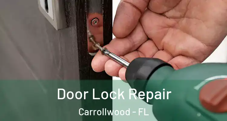  Door Lock Repair Carrollwood - FL