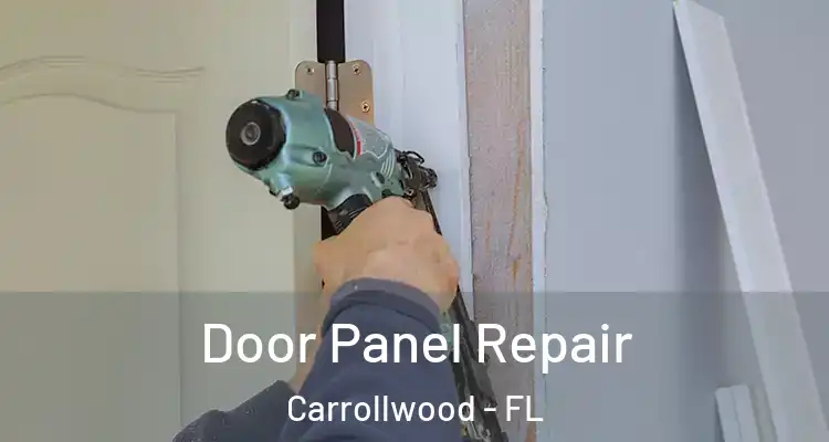  Door Panel Repair Carrollwood - FL