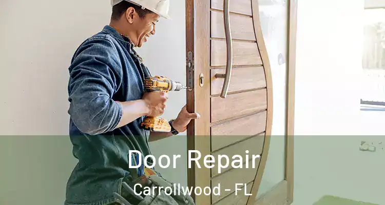  Door Repair Carrollwood - FL