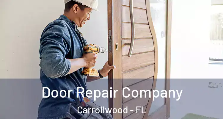  Door Repair Company Carrollwood - FL