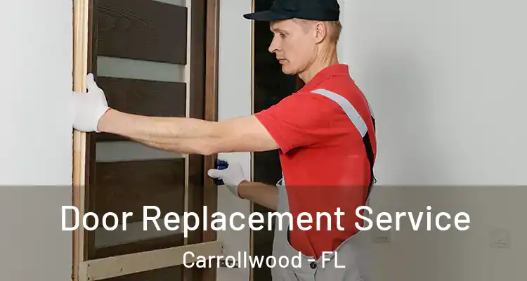  Door Replacement Service Carrollwood - FL