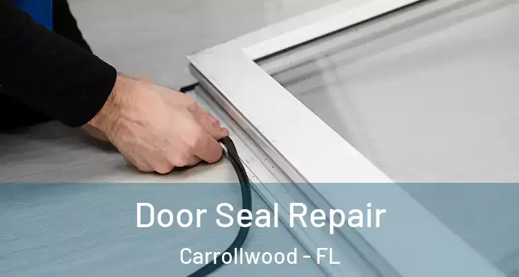  Door Seal Repair Carrollwood - FL