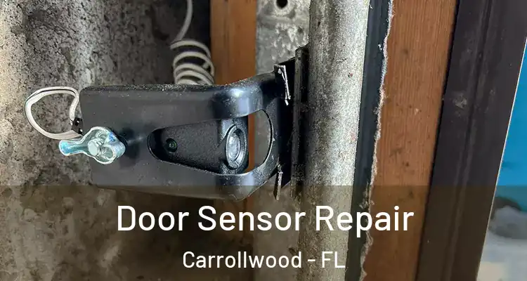  Door Sensor Repair Carrollwood - FL