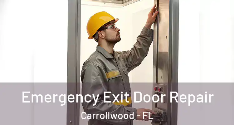  Emergency Exit Door Repair Carrollwood - FL