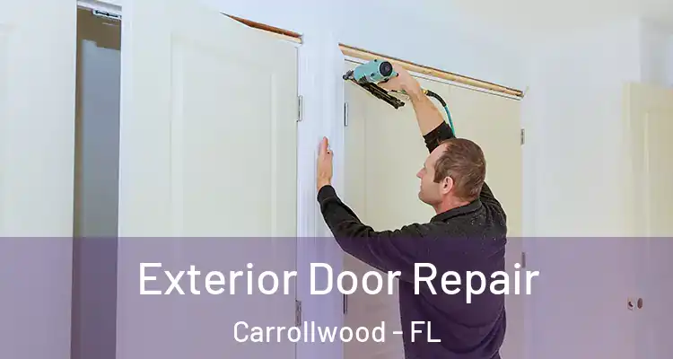  Exterior Door Repair Carrollwood - FL