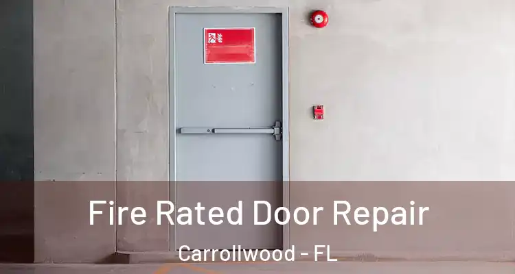  Fire Rated Door Repair Carrollwood - FL