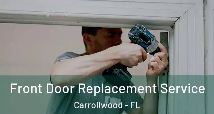  Front Door Replacement Service Carrollwood - FL