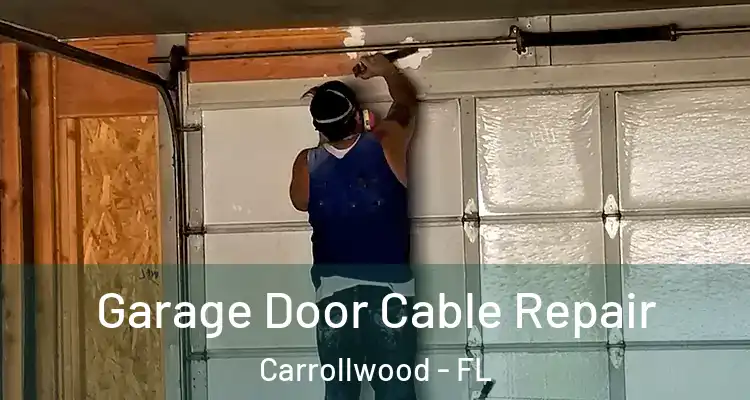  Garage Door Cable Repair Carrollwood - FL