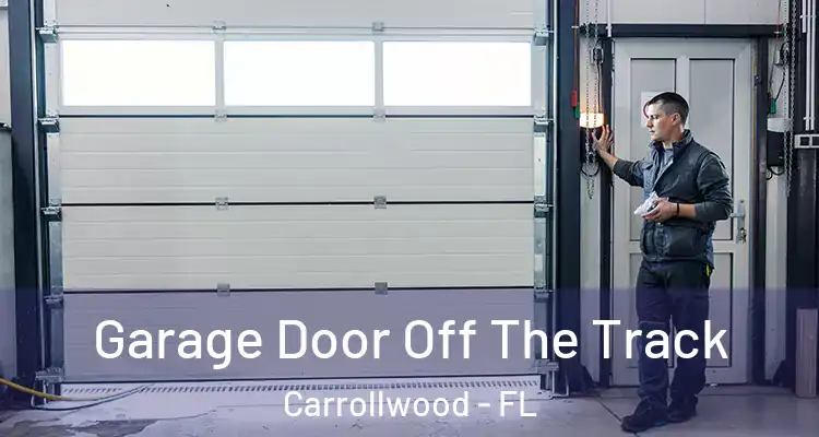  Garage Door Off The Track Carrollwood - FL