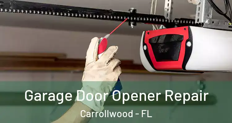  Garage Door Opener Repair Carrollwood - FL