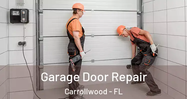  Garage Door Repair Carrollwood - FL