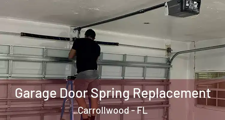  Garage Door Spring Replacement Carrollwood - FL