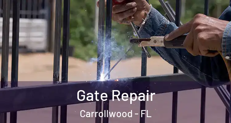  Gate Repair Carrollwood - FL
