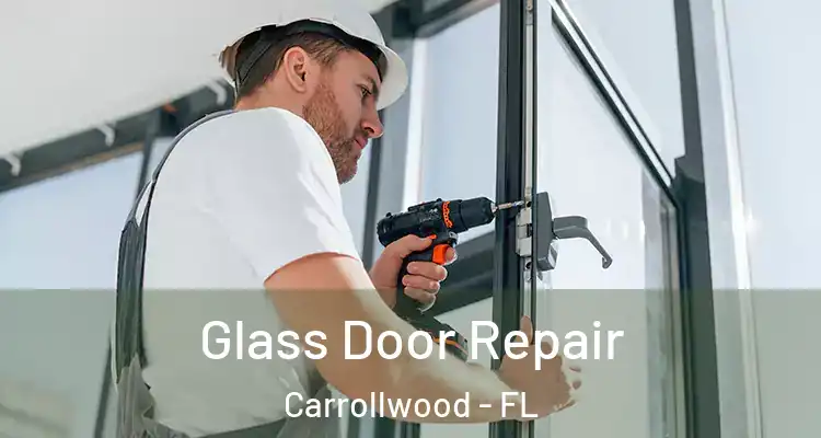  Glass Door Repair Carrollwood - FL