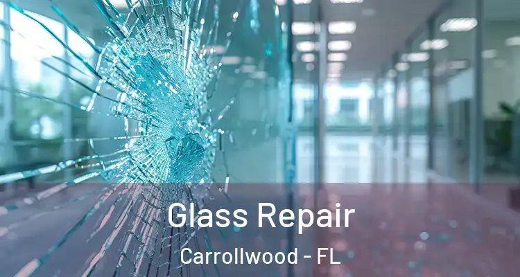  Glass Repair Carrollwood - FL