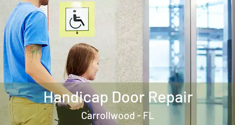  Handicap Door Repair Carrollwood - FL