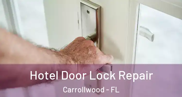  Hotel Door Lock Repair Carrollwood - FL