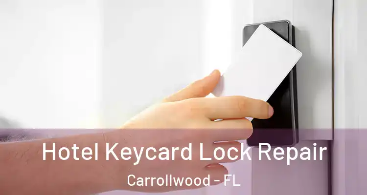  Hotel Keycard Lock Repair Carrollwood - FL