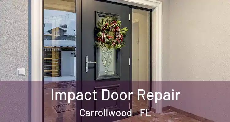  Impact Door Repair Carrollwood - FL
