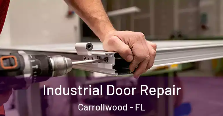  Industrial Door Repair Carrollwood - FL