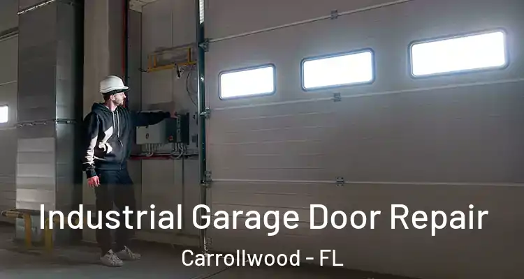  Industrial Garage Door Repair Carrollwood - FL