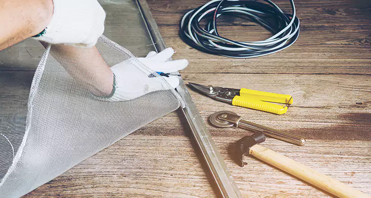 Our Pool Enclosure Mesh Repair Services in Carrollwood, FL