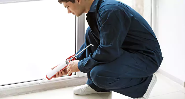 Window Glass Caulk Repair in Carrollwood, FL