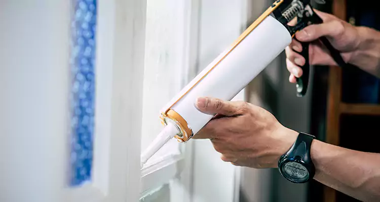 Windows Leaking Air Repair in Carrollwood, FL