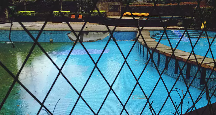 Lanai Screen Repair in Carrollwood, FL