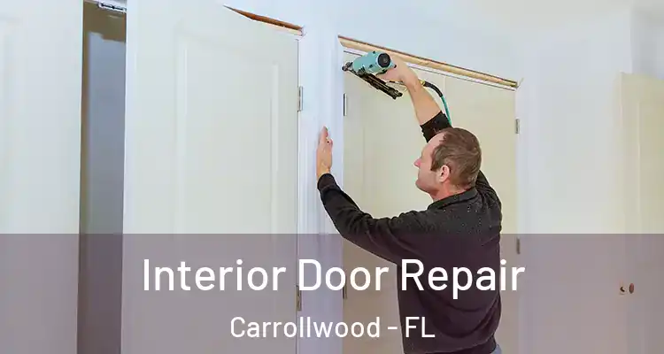  Interior Door Repair Carrollwood - FL