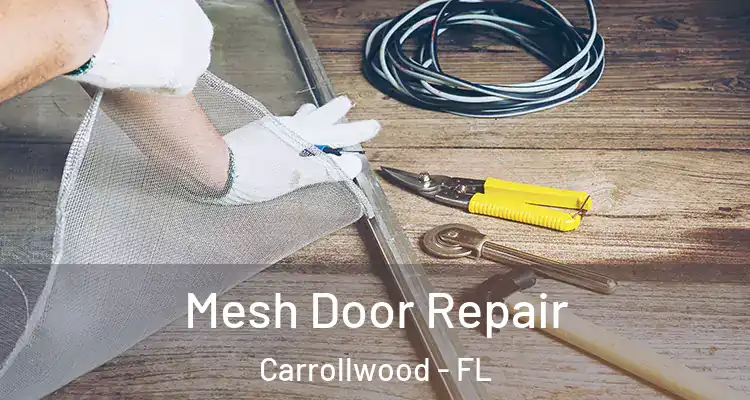  Mesh Door Repair Carrollwood - FL